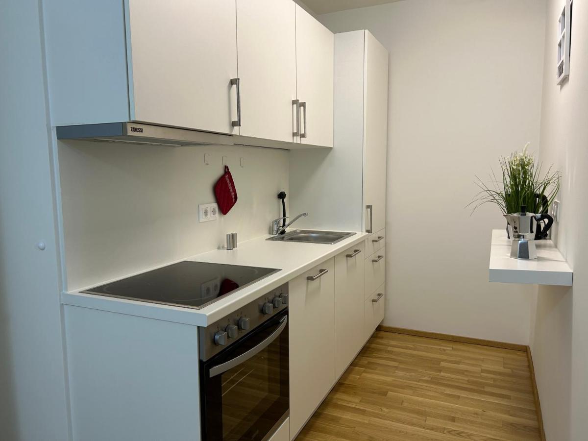 55 M2 Stylish With Balcony & Parking Vienne